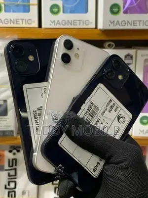 Apple iPhone 12 mini (Used)