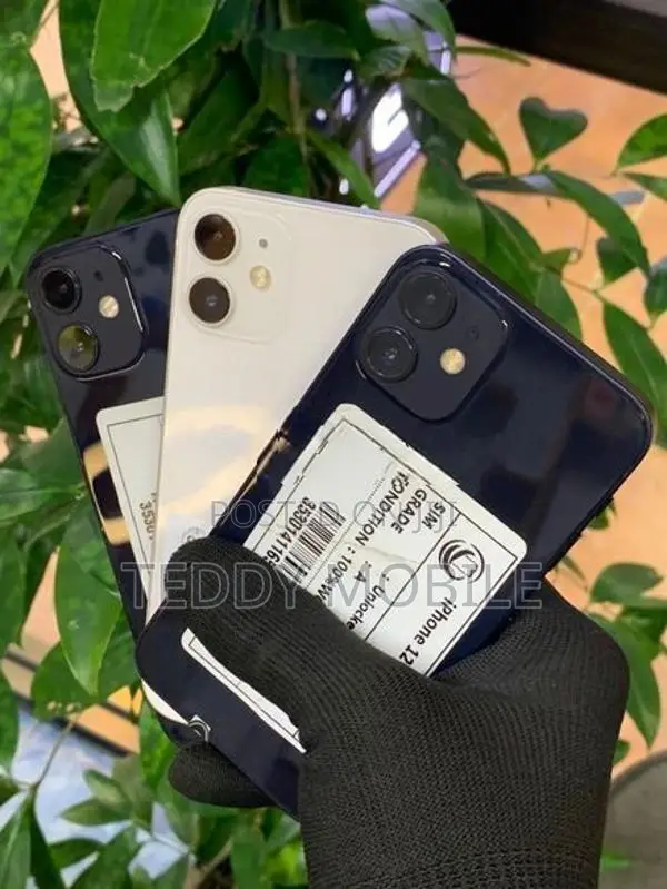Apple iPhone 12 mini (Used)