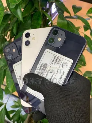 Apple iPhone 12 mini (Used)