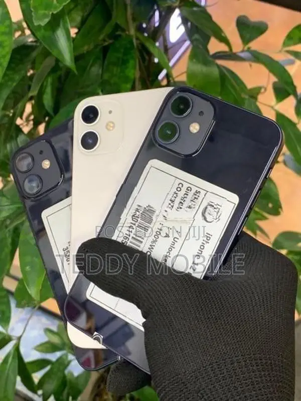Apple iPhone 12 mini (Used)