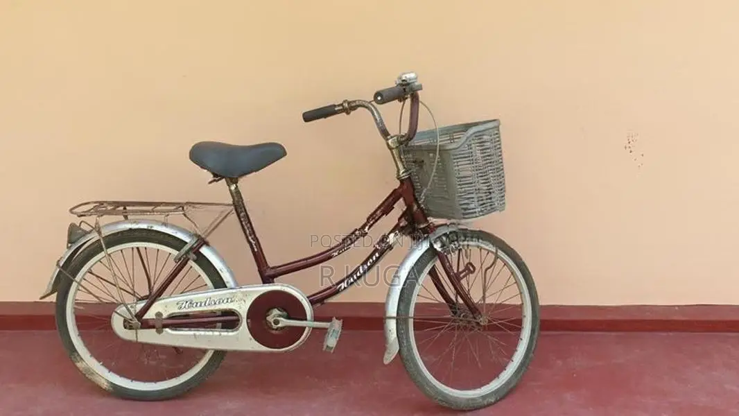 Hudson Mini Bicycle