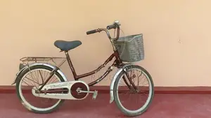 Hudson Mini Bicycle
