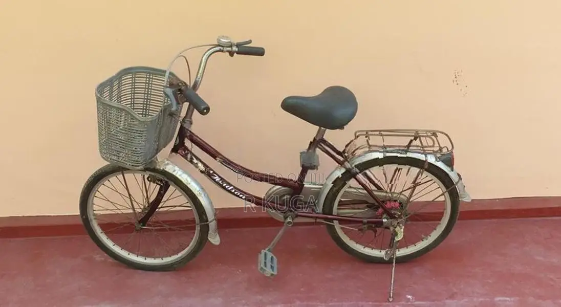 Hudson Mini Bicycle