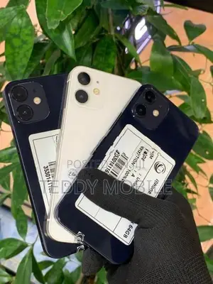 Apple iPhone 12 mini (Used)