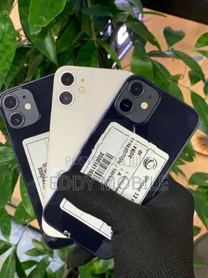 Apple iPhone 12 mini (Used)