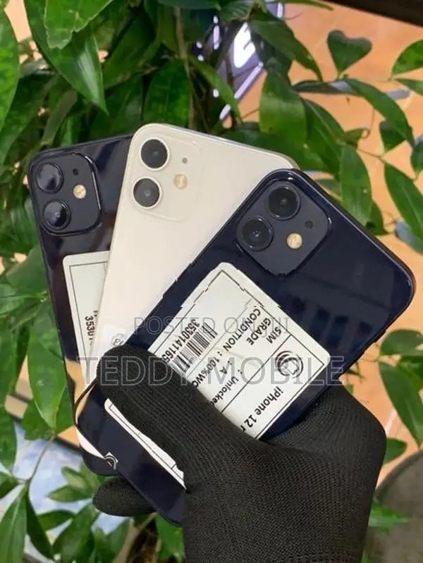Apple iPhone 12 mini (Used)