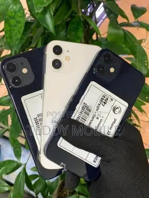Apple iPhone 12 mini (Used)