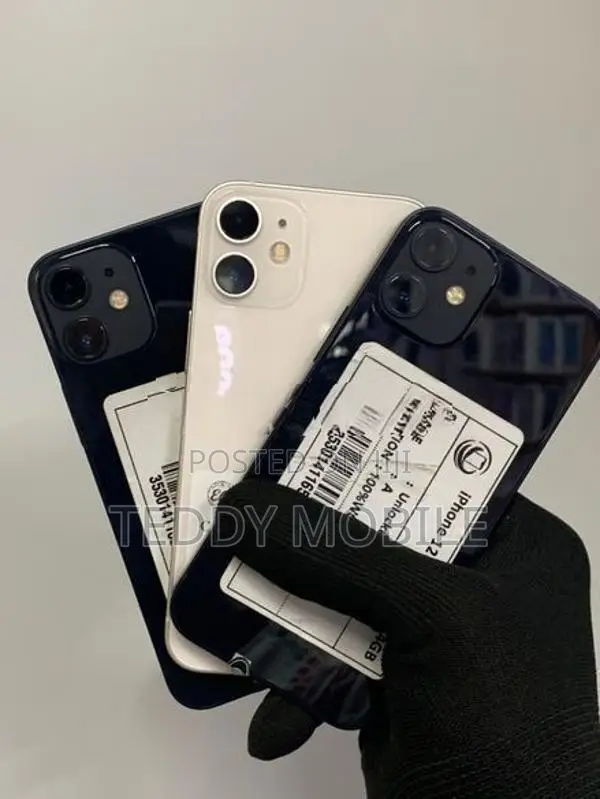 Apple iPhone 12 mini (Used)
