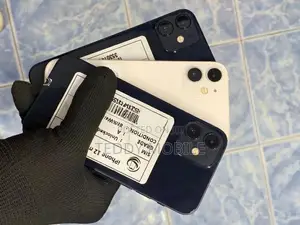 Apple iPhone 12 mini (Used)