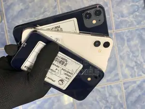 Apple iPhone 12 mini (Used)