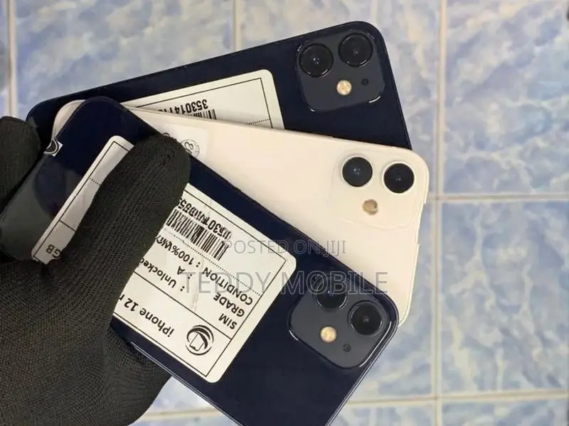 Apple iPhone 12 mini (Used)