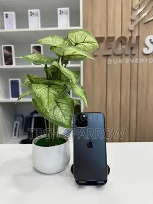Apple iPhone 11 Pro 256GB (Used)