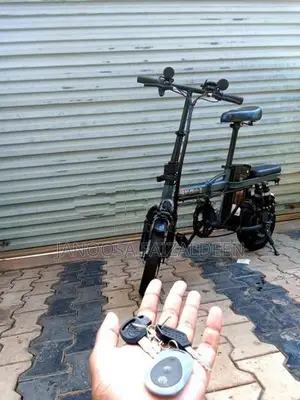 Foldable Electric Bicycle