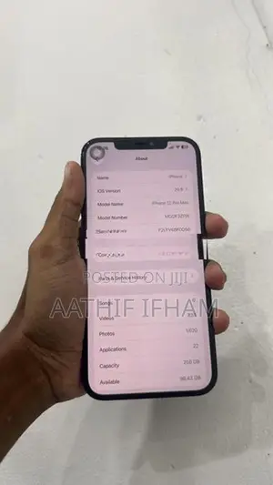 Apple iPhone 12 Pro Max (Used)