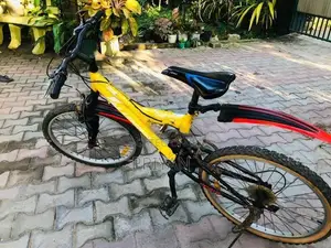 Lumala Bicycle