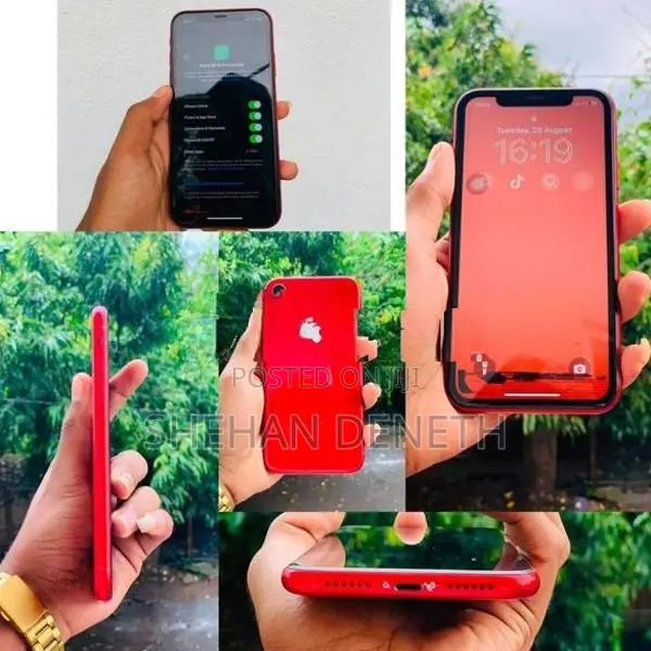 Apple iPhone XR (Used)