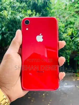 Apple iPhone XR (Used)