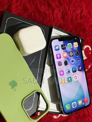 Apple iPhone 12 Pro Max 256GB (Used)