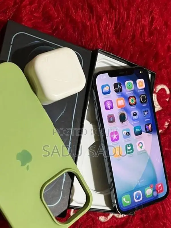 Apple iPhone 12 Pro Max 256GB (Used)