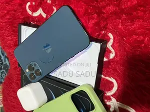 Apple iPhone 12 Pro Max 256GB (Used)