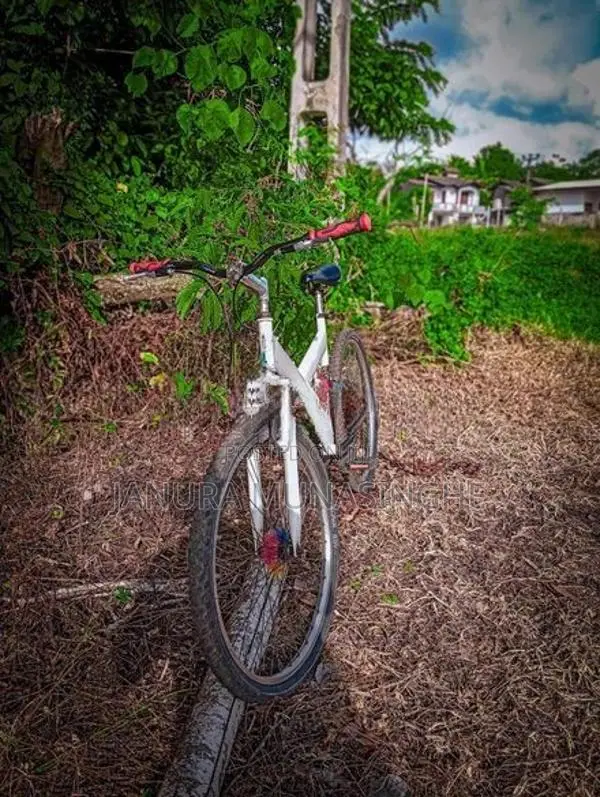 Mountain Bicycle