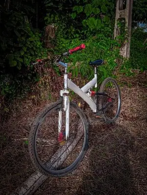 Mountain Bicycle