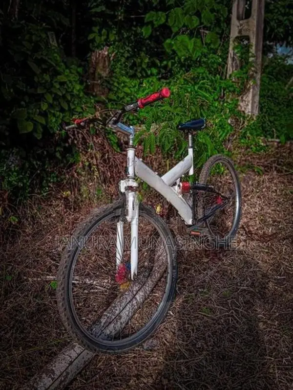 Mountain Bicycle