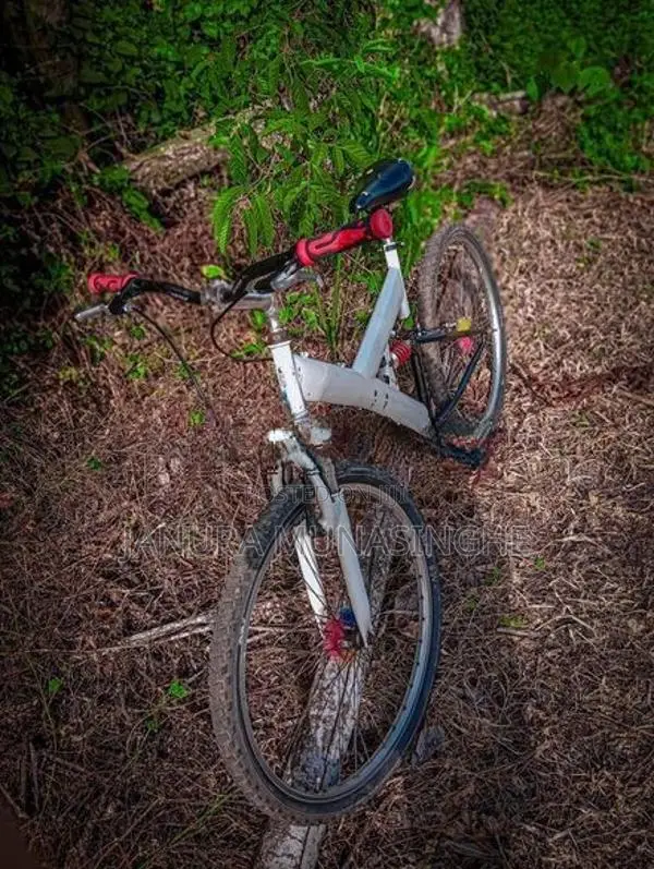 Mountain Bicycle