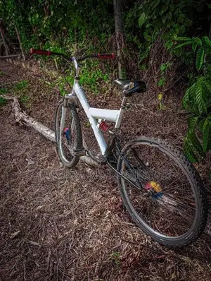 Mountain Bicycle