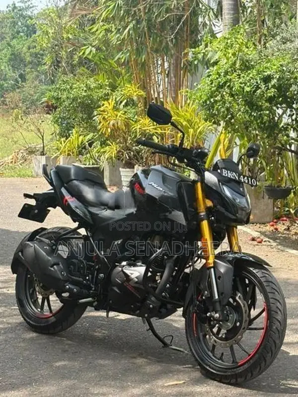 Hero Hunk 160R 2025
