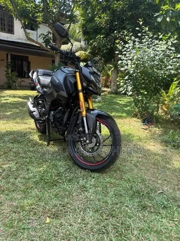 Hero Hunk 160R 2025