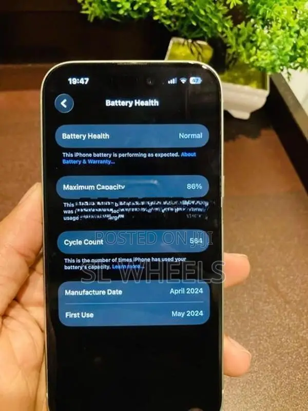 Apple iPhone 15 (Used)