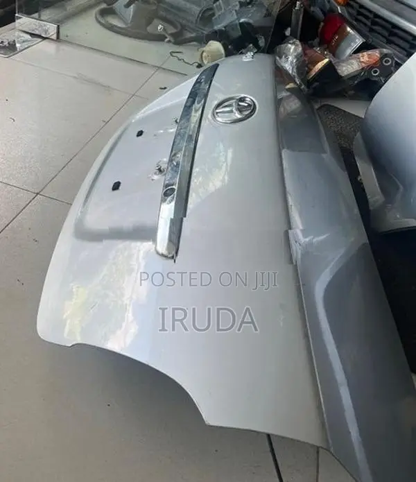 Toyota Belta Dicky Door