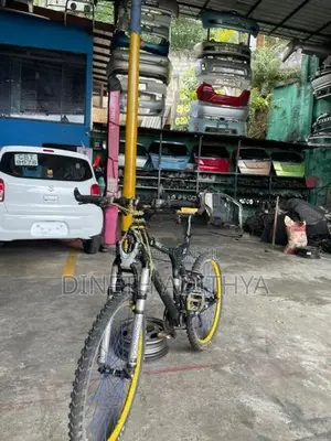 Japan Mountain Bike