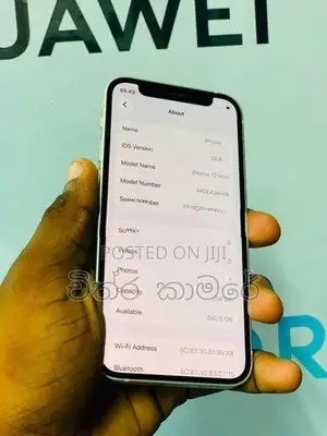 Apple iPhone 12 mini 256GB (Used)