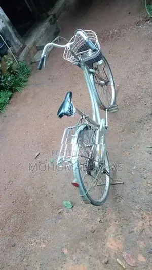 Tomahawk Bicycle