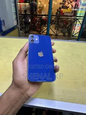 Apple iPhone 12 mini 256GB (Used)