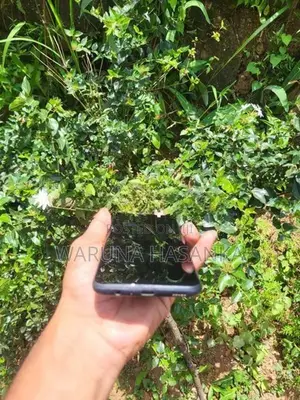Samsung Galaxy A03s (Used)