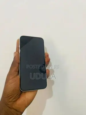 Apple iPhone 13 (Used)