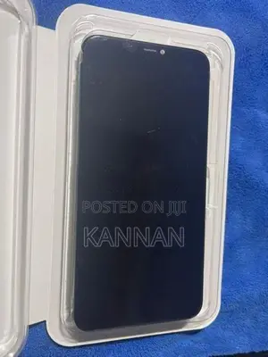 Apple iPhone 11 Pro Max Display
