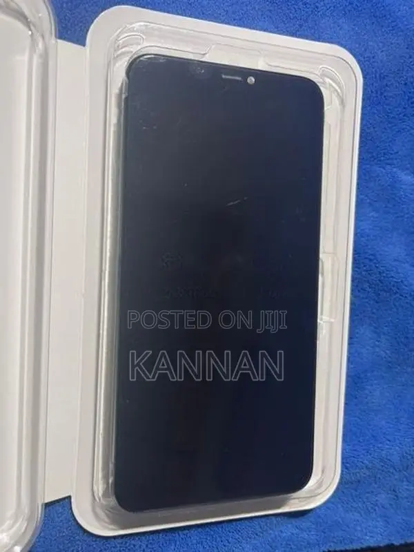 Apple iPhone 11 Pro Max Display