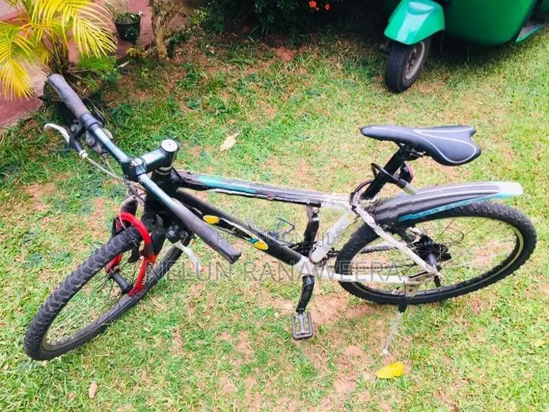 Cane Creek Bicycle