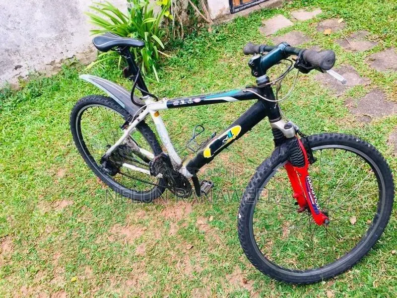 Cane Creek Bicycle