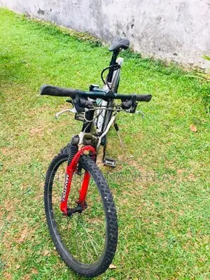 Cane Creek Bicycle