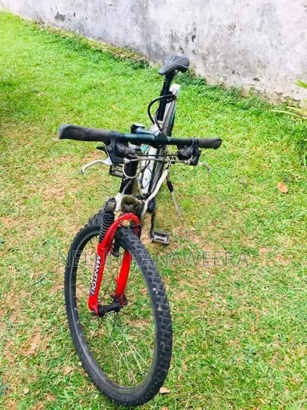 Cane Creek Bicycle