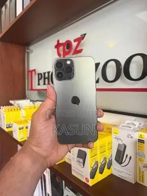 Apple iPhone 13 Pro Max (Used)