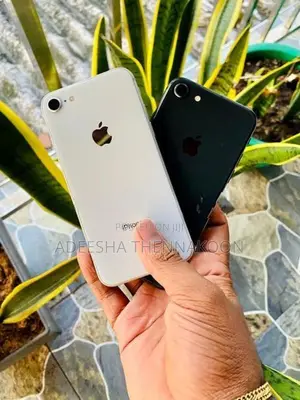 Apple iPhone 8 (Used)