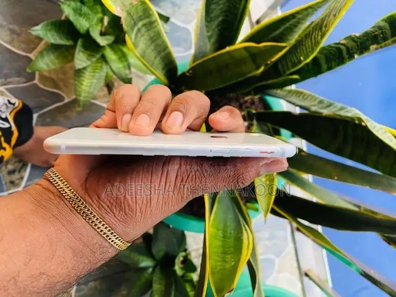 Apple iPhone 8 (Used)