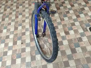 Kenton Mountain Bicycle