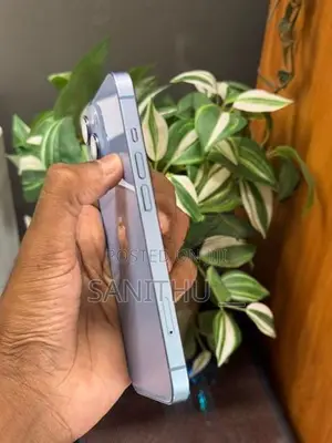 Apple iPhone 14 (Used)